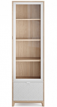 Узкая витрина Case 58X45X190 CM