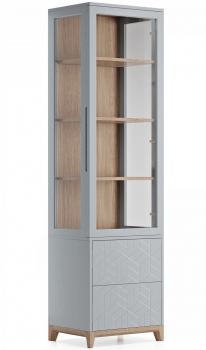 Узкая витрина Case 58X45X212 CM