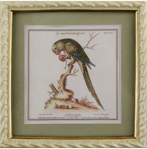 Панно настенное Parrot 22X23 CM