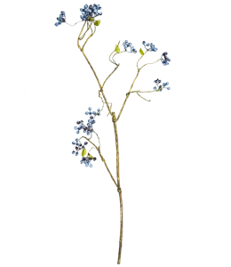 Искусственное растение Orchis Militaris 40X22X97 CM