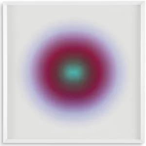 Постер Boissiere by Henri Boissiere 103X103 CM