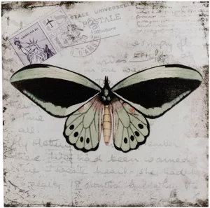 Панно настенное Butterfly 31X31 CM