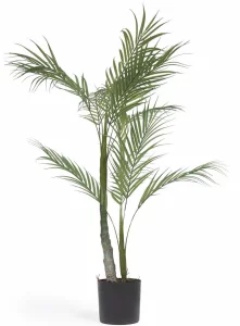 Искусственное растение Palmera 50X50X70 CM