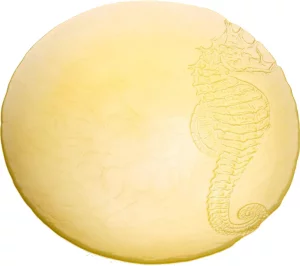 Тарелка Sea Horse Ø22 CM