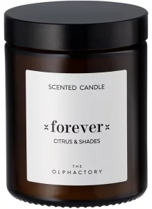 Свеча ароматическая The Olphactory Forever Citrus&Shades 30 часов горения