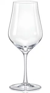 Бокал для вина Tulipa 450 ml