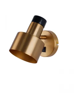 Спот Goldy