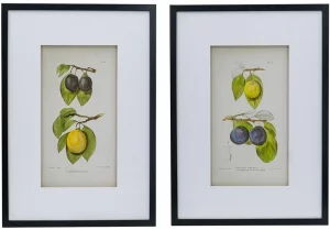 Комплект из двух постеров Flora 50X70 / 50X70 CM