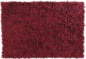 Ковёр из войлока Little field of flowers 170X240 CM красный