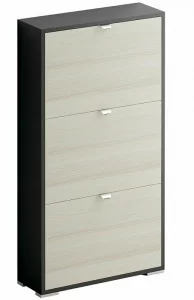 Шкаф для обуви Reggy 60X20X112 CM