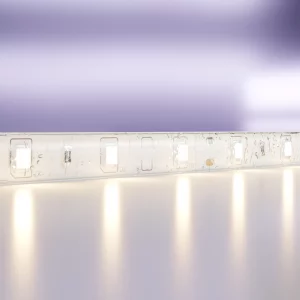 Светодиодная лента Standard белая 5000 мм
