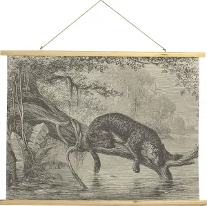 Постер Wild 100X75 CM
