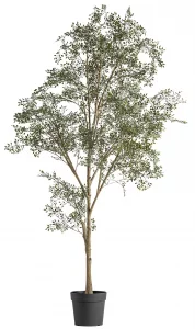 Искусственное растение Olivo 100X100X200 CM