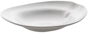 Тарелка гурме Shell 25X26X7 CM матовая