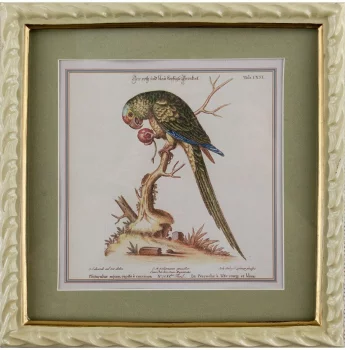 Панно настенное Parrot 22X23 CM
