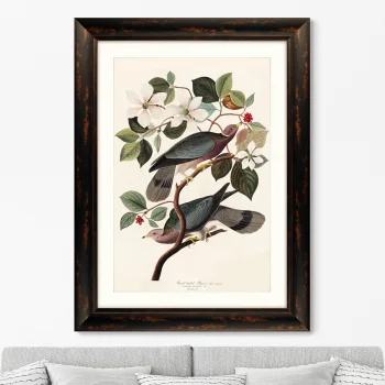 Постер Band-tailed Pigeon 81X61 CM