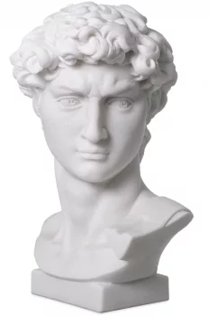 Декоративный объект Head David 42X27X66 CM