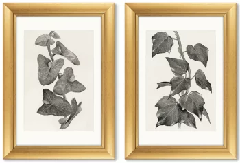 Диптих Melanocarpa from The Ivy 51X71 / 51X71 CM