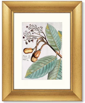 Диптих Exotic plants of the world 41X51 / 41X51 CM