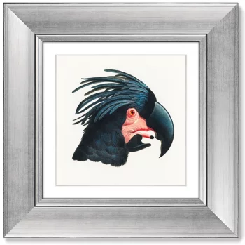 Диптих Ara Canga 36X36 / 36X36 CM