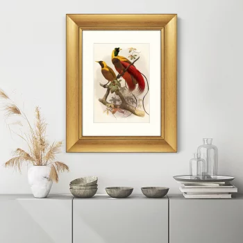 Постер Red Bird of Paradise 41X51 CM