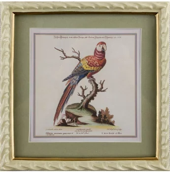 Панно настенное Parrot 22X23 CM