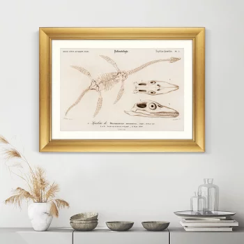 Постер Plesiosaurus 81X61 CM 