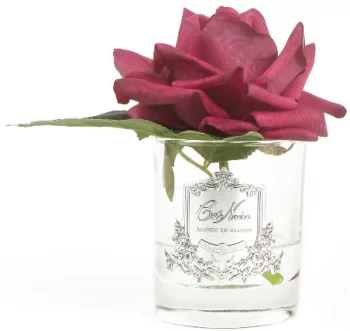 Ароматизированная роза French Rrose 11X11X16 CM