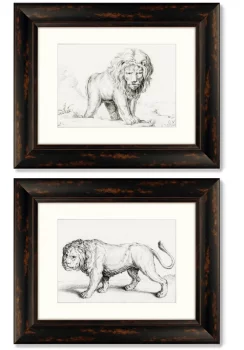 Диптих Lions 51X41 / 51X41 CM