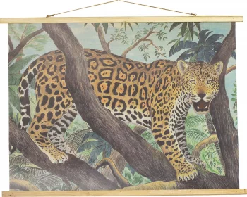 Постер Wild 100X75 CM