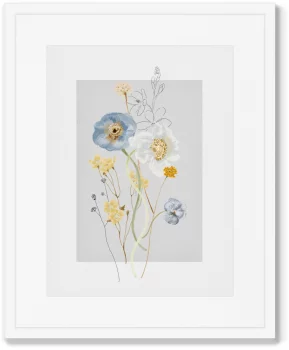 Набор из четырёх постеров Floral set in pale shades 42X52 / 42X52 / 42X52 / 42X52 CM