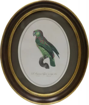 Панно настенное Parrot 25X30 CM