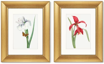 Диптих Antique plants drawn 41X51 / 41X51 CM