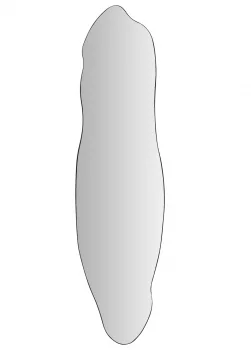 Зеркало Albig 50X4X190 CM