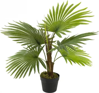 Растение декоративное искусственное Palm Tree 48X68X80 CM