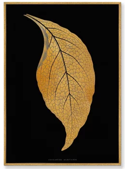 Постеры на холсте Two leaves 75X105 / 75X105 CM