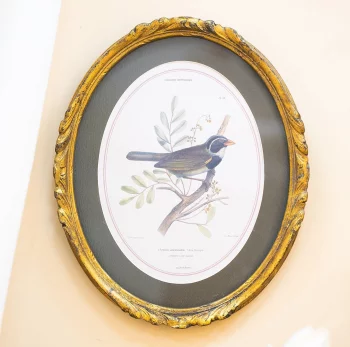 Панно настенное Birdwatcher 23X28 CM
