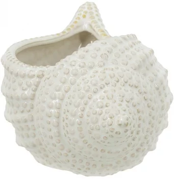 Кашпо Seashell 24X17X14 CM