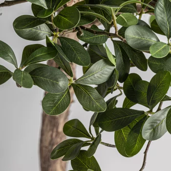 Искусственное растение Ficus 50X50X90 CM