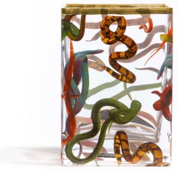 Стеклянная ваза Snakes 10X8X14 CM