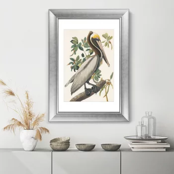 Постер American Brown Pelican 51X71 CM