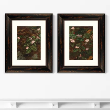 Диптих Trailing Arbutus 41X51 / 41X51 CM