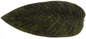 Блюдо Riviera Strelizia Leaf 40X17 CM