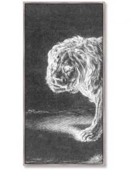 Репродукци из 3-х частей Lion 52X105 / 52X105 / 52X105 CM