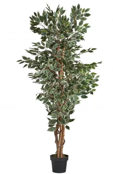 Искусственное растение Ficus 80X70X175 CM