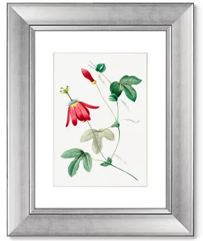 Диптих Antique plants drawn 41X51 / 41X51 CM