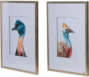 Набор из двух постеров Cassowaries 60X80 / 60X80 CM