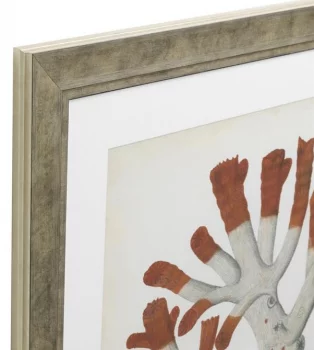 Постеры Antique Red Corals 68X58 / 68X58 / 68X58 / 68X58 / 68X58 / 68X58 CM
