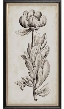 Постер Beauty 30X60 CM