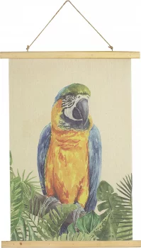 Постер Parrot 50X70 CM